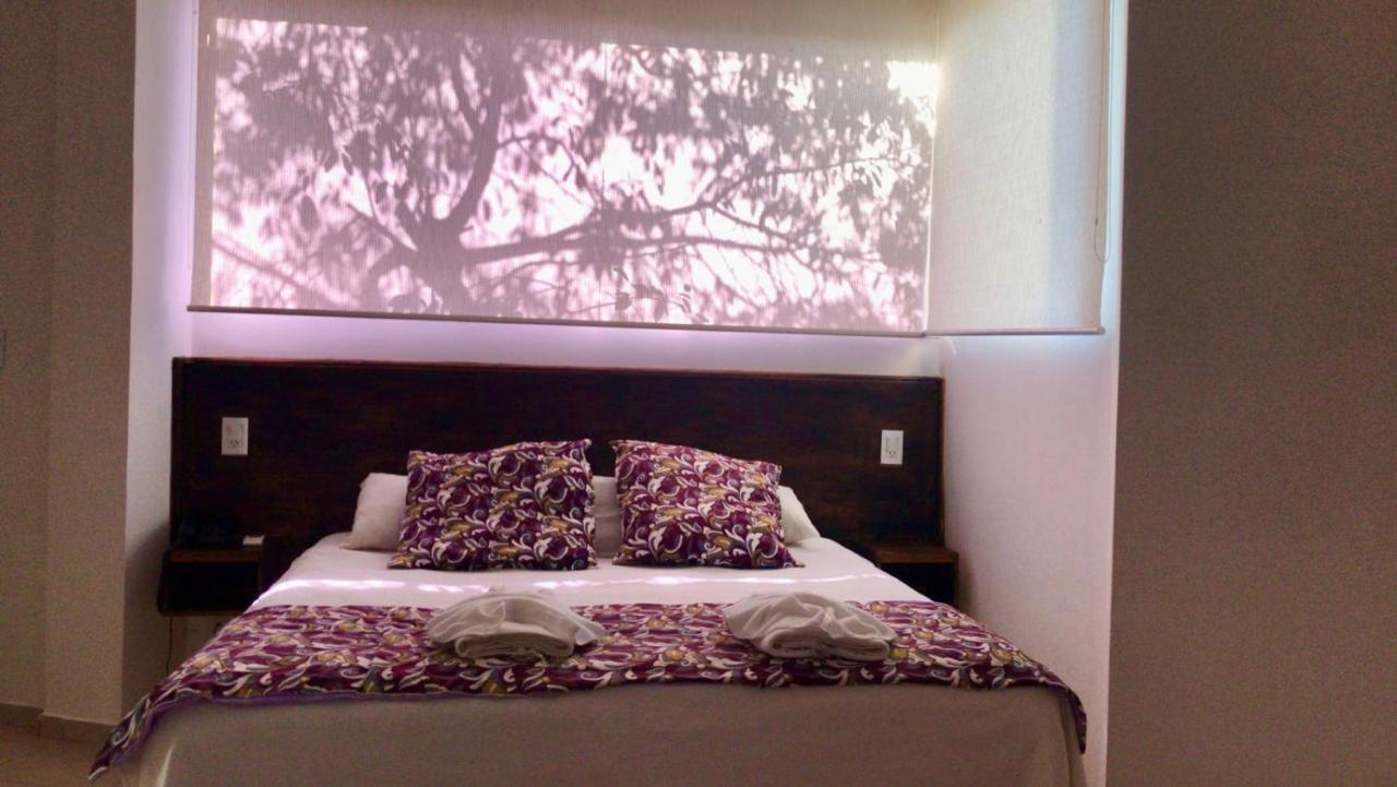 Hotel Rainforest & Puerto Iguazú
