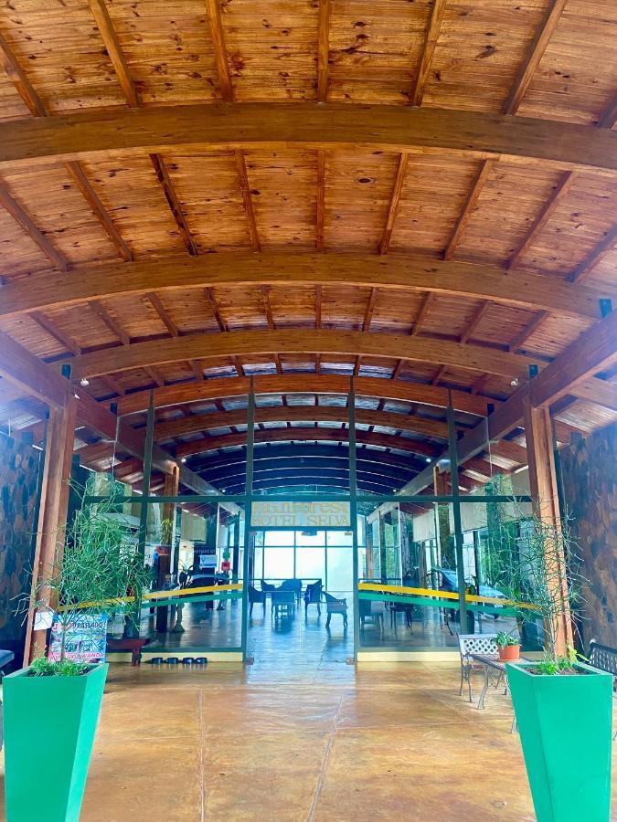 Rainforest & Hotel Puerto Iguazú