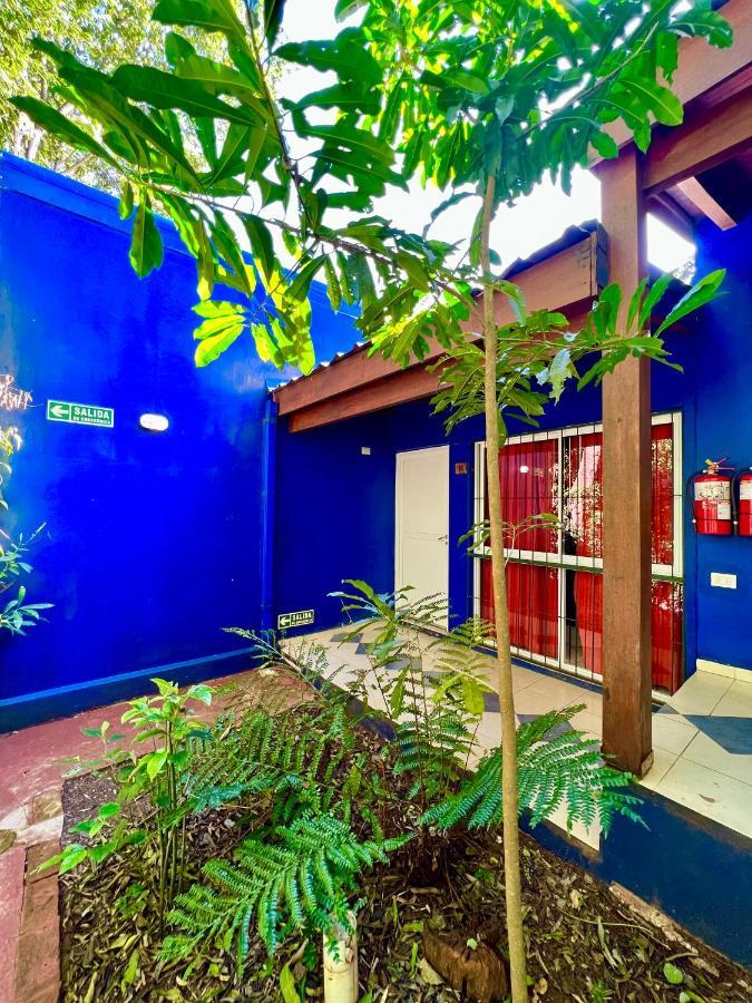 Rainforest & Hotel