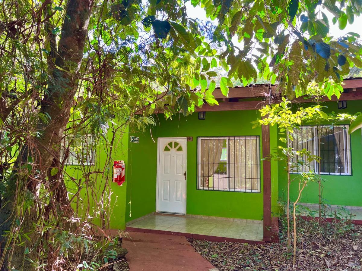Rainforest & 3* Puerto Iguazú