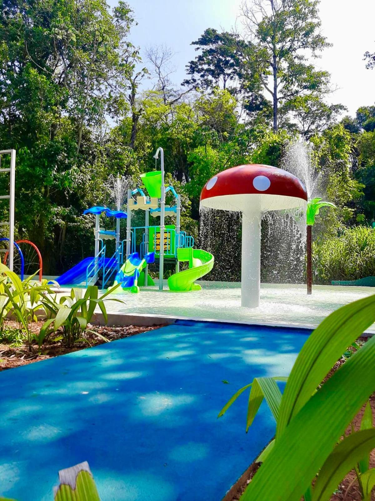 Rainforest & Hotel