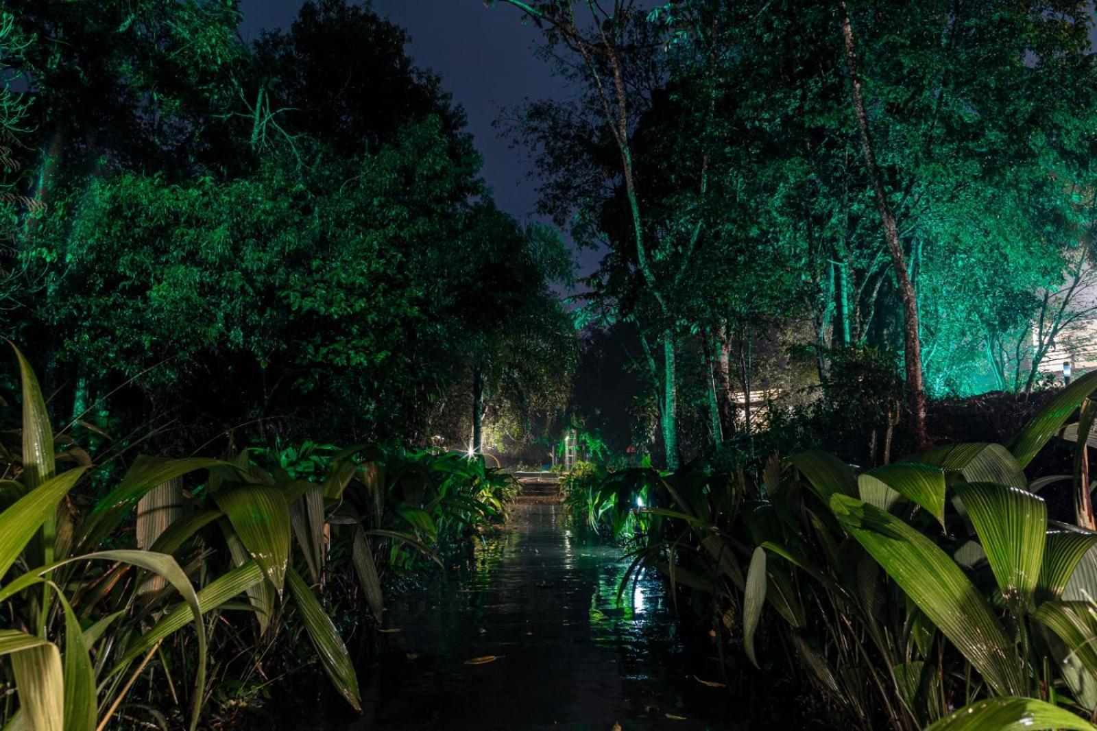Rainforest & 3* Puerto Iguazú